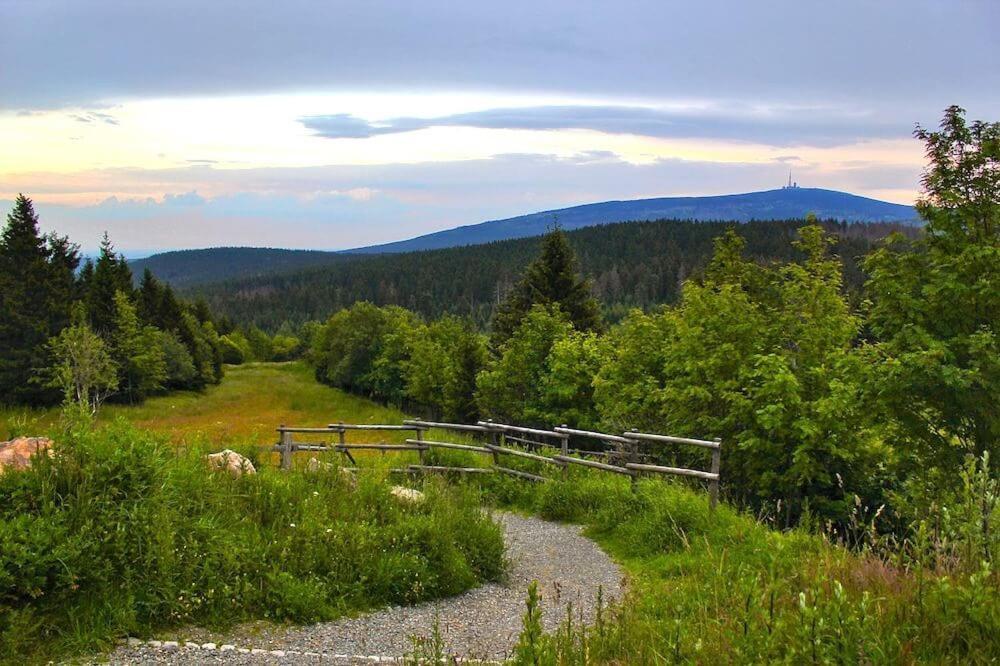 Villa Heidi Braunlage Kültér fotó