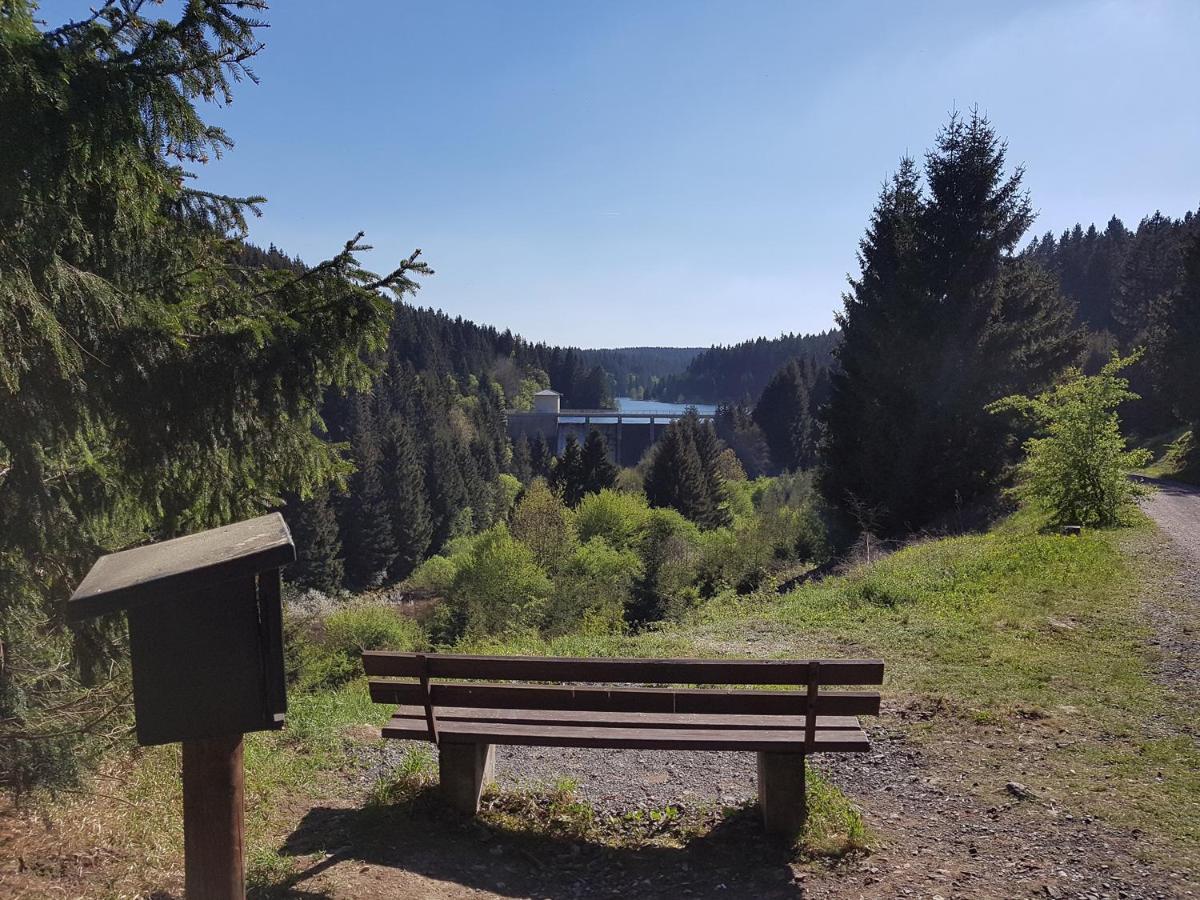 Villa Heidi Braunlage Kültér fotó
