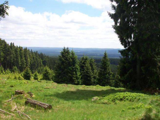 Villa Heidi Braunlage Kültér fotó